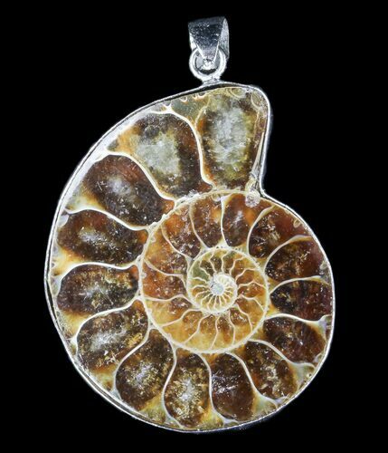 Fossil Ammonite Pendant - Million Years Old #83142
